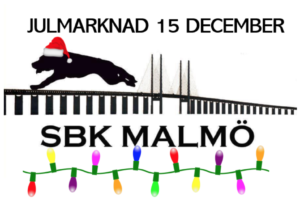 Skärmavbild 2019-12-02 kl. 20.43.02